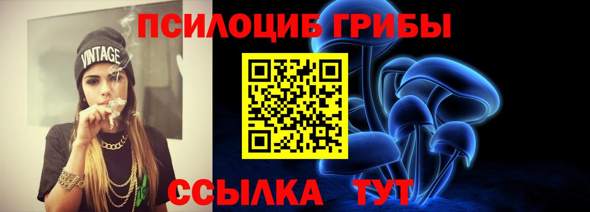 Галлюциногенные грибы GOLDEN TEACHER  Псилоцибиновые грибы прущие грибы  Тавда  Вход с VPN 
